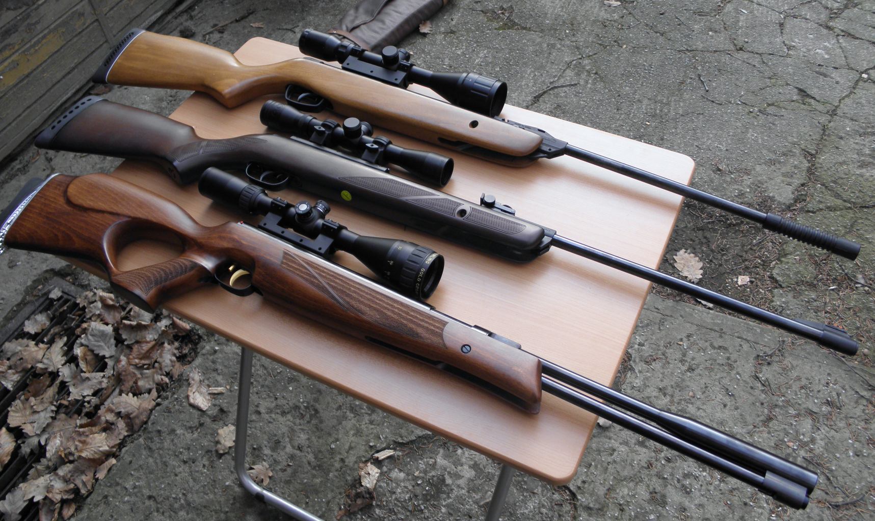 Gamo610, Gamo Hunter 440 a Weihrauch HW97K