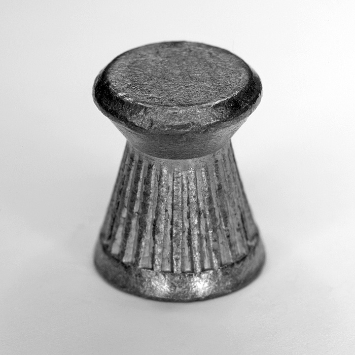 HundN_WettkampfkugelnFlachkopfGeriffelt_Upside